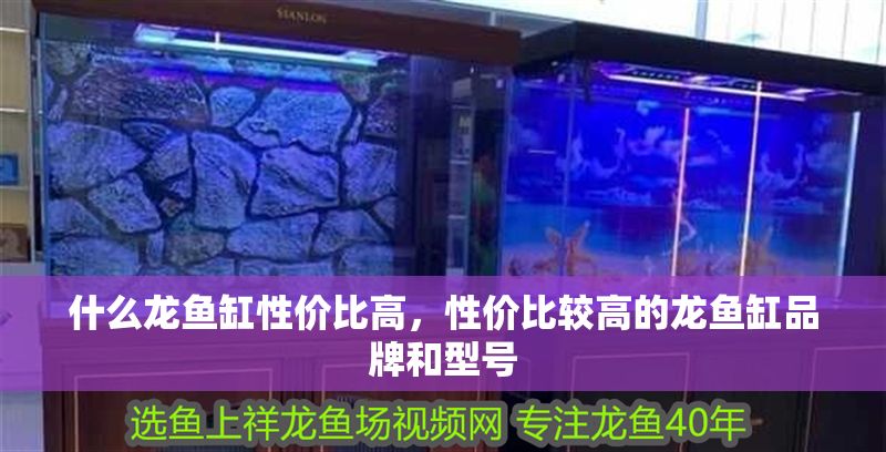 什么龍魚缸性價比高，性價比較高的龍魚缸品牌和型號