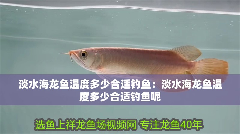 淡水海龍魚(yú)溫度多少合適釣魚(yú)：淡水海龍魚(yú)溫度多少合適釣魚(yú)呢