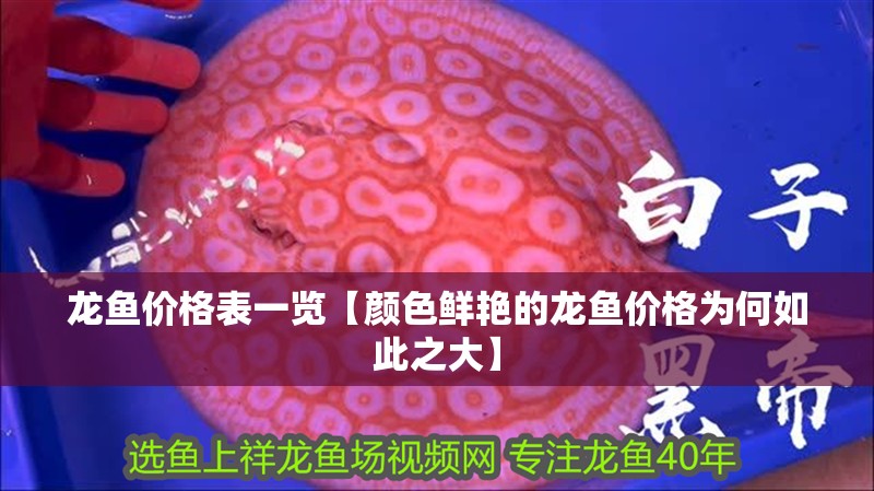 魚缸用增氧泵價格是多少:魚缸增氧機-xtrac增氧機-xtrac增氧機 龍魚價格表一覽【顏色鮮艷的龍魚價格為何如此之大】 水族問答 龍魚價格表一覽【顏色鮮艷的龍魚價格為何如此之大】 龍魚價格表一覽【顏色鮮艷的龍魚價格為何如此之大】 水族問答