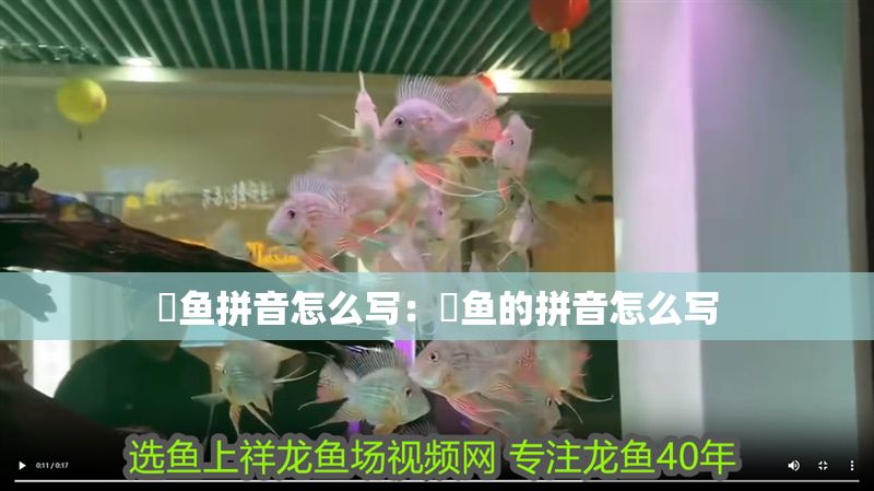 魟魚拼音怎么寫：魟魚的拼音怎么寫