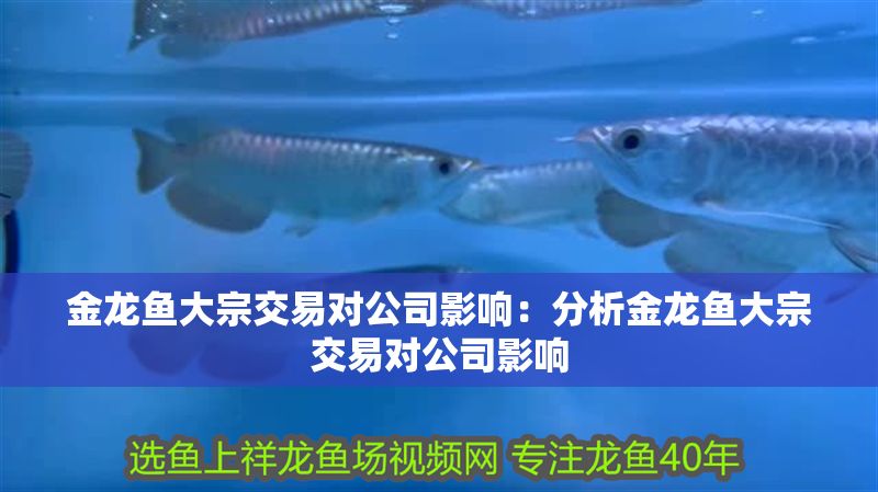 金龍魚大宗交易對公司影響：分析金龍魚大宗交易對公司影響