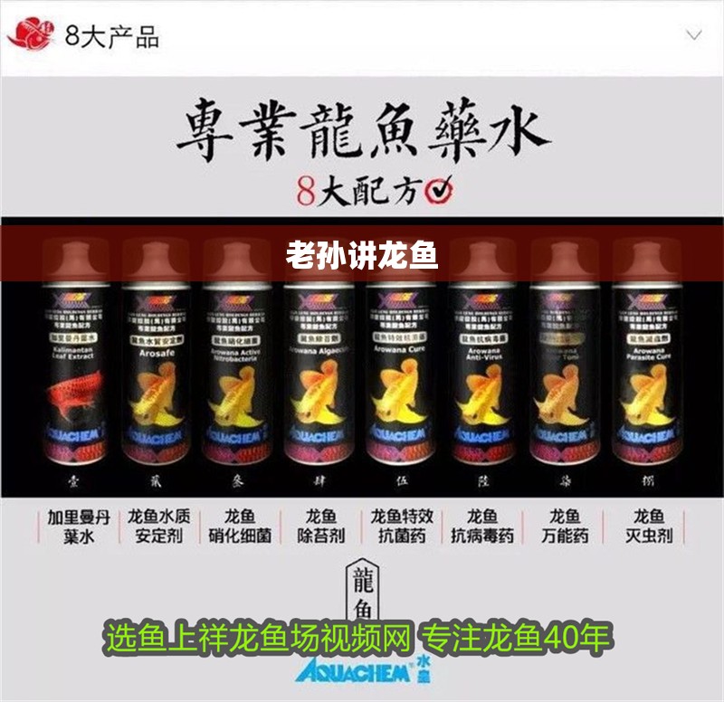 老孫講龍魚
