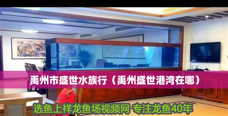 禹州市盛世水族行（禹州盛世港灣在哪）