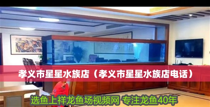 孝義市星星水族店（孝義市星星水族店電話(huà)） 孝義市星星水族店（孝義市星星水族店電話(huà)） 全國(guó)水族館企業(yè)名錄 第2張