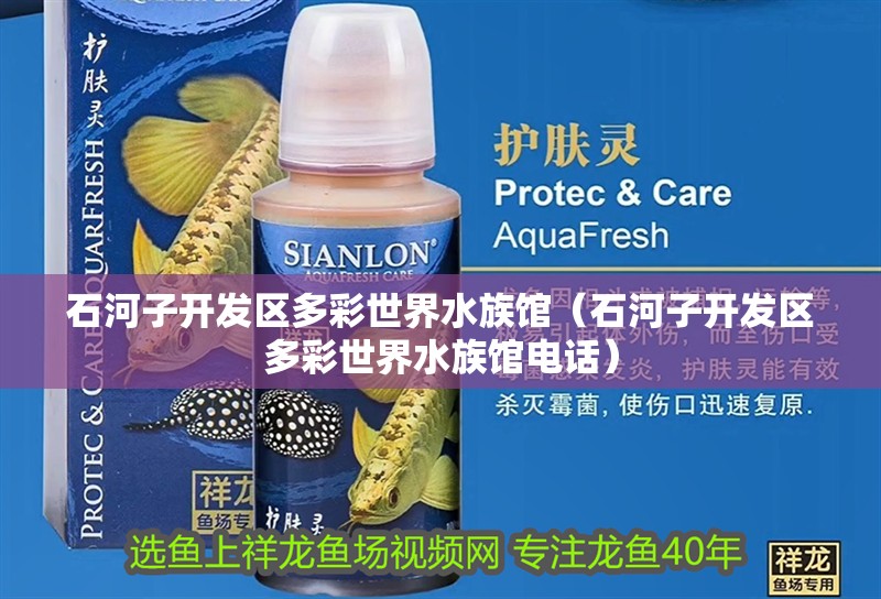 石河子開發區多彩世界水族館（石河子開發區多彩世界水族館電話）