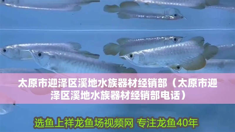 太原市迎澤區溪地水族器材經銷部（太原市迎澤區溪地水族器材經銷部電話） 太原市迎澤區溪地水族器材經銷部（太原市迎澤區溪地水族器材經銷部電話） 全國水族館企業名錄 第2張
