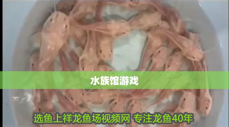 水族館游戲