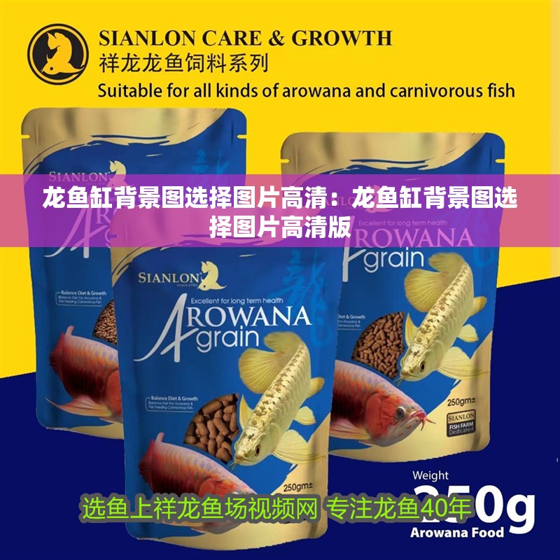 龍魚缸背景圖選擇圖片高清:龍魚缸背景圖選擇圖片高清版