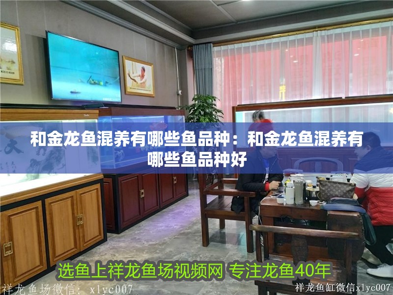 和金龍魚混養有哪些魚品種：和金龍魚混養有哪些魚品種好 和金龍魚混養有哪些魚品種：和金龍魚混養有哪些魚品種好 水族問答