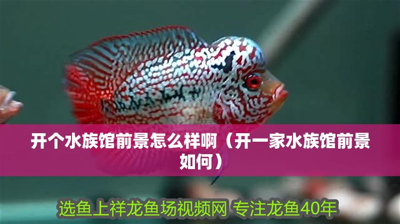 開個水族館前景怎么樣啊(開一家水族館前景如何) 水族館百科(水族館加盟) 第1張 開個水族館前景怎么樣啊(開一家水族館前景如何) 開個水族館前景怎么樣啊(開一家水族館前景如何) 水族館百科(水族館加盟) 第1張