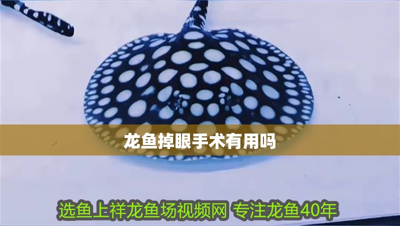 龍魚掉眼手術有用嗎