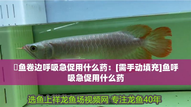魟魚卷邊呼吸急促用什么藥：[需手動填充]魚呼吸急促用什么藥