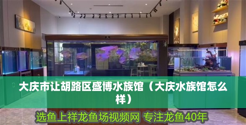 大慶市讓胡路區盛博水族館（大慶水族館怎么樣） 大慶市讓胡路區盛博水族館（大慶水族館怎么樣） 全國水族館企業名錄 第2張