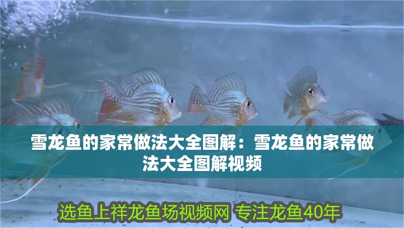 雪龍魚(yú)的家常做法大全圖解：雪龍魚(yú)的家常做法大全圖解視頻