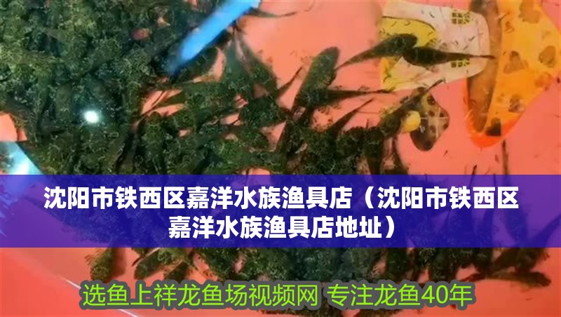 沈陽市鐵西區嘉洋水族漁具店（沈陽市鐵西區嘉洋水族漁具店地址） 沈陽市鐵西區嘉洋水族漁具店（沈陽市鐵西區嘉洋水族漁具店地址） 全國水族館企業名錄 第2張