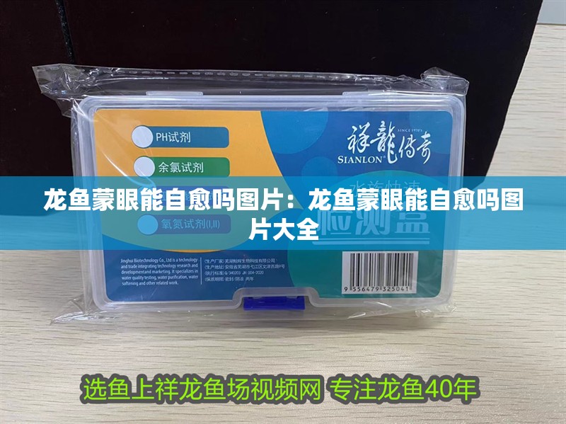 龍魚蒙眼能自愈嗎圖片：龍魚蒙眼能自愈嗎圖片大全