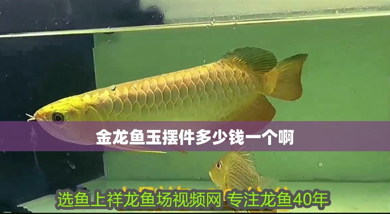 金龍魚玉擺件多少錢一個啊