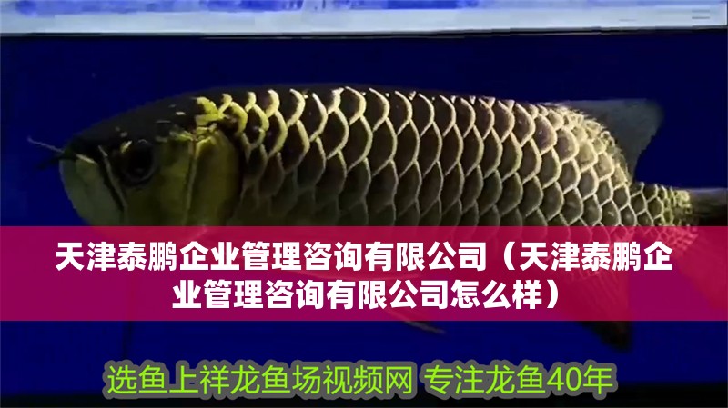 天津泰鵬企業管理咨詢有限公司（天津泰鵬企業管理咨詢有限公司怎么樣）