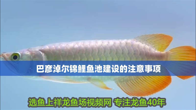 巴彥淖爾錦鯉魚池建設(shè)的注意事項
