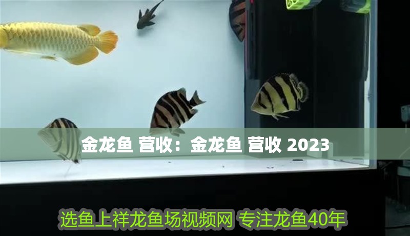 金龍魚 營收：金龍魚 營收 2023