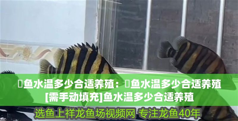 魟魚水溫多少合適養殖：魟魚水溫多少合適養殖[需手動填充]魚水溫多少合適養殖 魟魚水溫多少合適養殖：魟魚水溫多少合適養殖[需手動填充]魚水溫多少合適養殖 魟魚百科 第2張