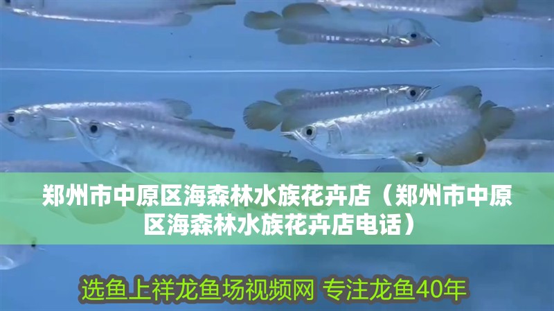鄭州市中原區(qū)海森林水族花卉店（鄭州市中原區(qū)海森林水族花卉店電話）