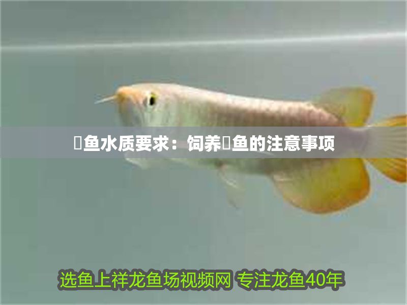 魟魚水質要求：飼養魟魚的注意事項