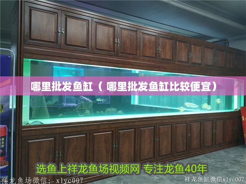 哪里批發魚缸（ 哪里批發魚缸比較便宜） 哪里批發魚缸（ 哪里批發魚缸比較便宜） 銀龍魚百科 第1張