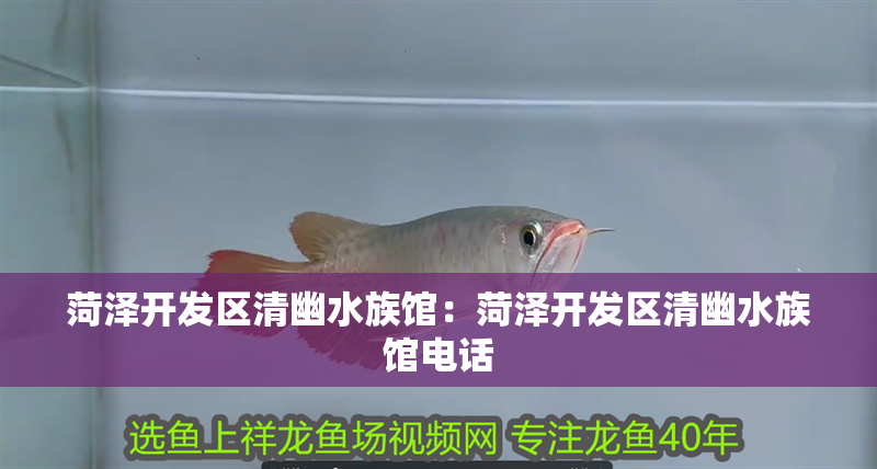 菏澤開發區清幽水族館:菏澤開發區清幽水族館電話 全國水族館企業名錄 第2張 菏澤開發區清幽水族館:菏澤開發區清幽水族館電話 菏澤開發區清幽水族館:菏澤開發區清幽水族館電話 全國水族館企業名錄 第2張