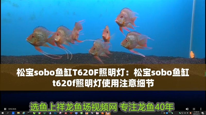 松寶sobo魚缸T620F照明燈：松寶sobo魚缸t620f照明燈使用注意細節(jié)