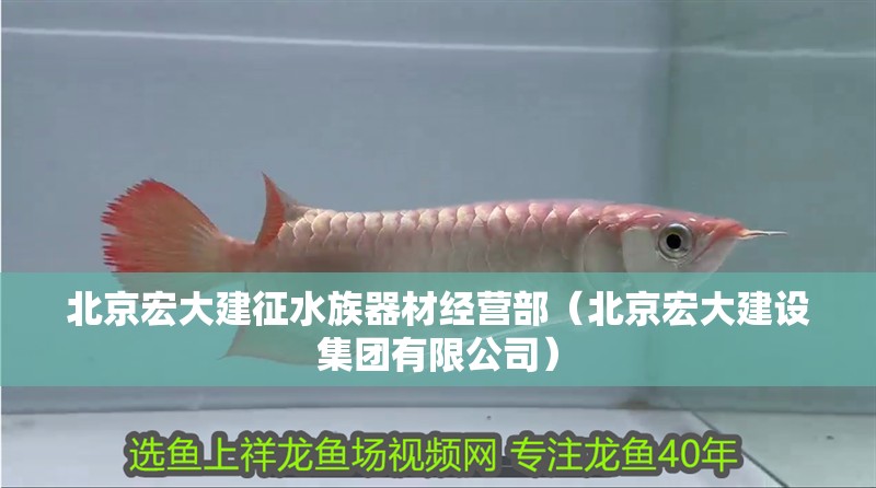 北京宏大建征水族器材經營部（北京宏大建設集團有限公司） 北京宏大建征水族器材經營部（北京宏大建設集團有限公司） 全國水族館企業名錄 第2張