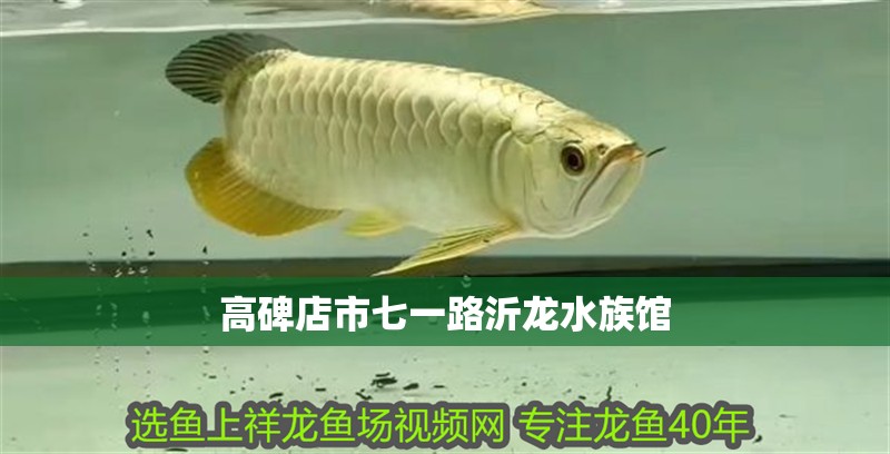 高碑店市七一路沂龍水族館 高碑店市七一路沂龍水族館 全國水族館企業名錄 第2張