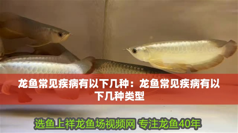 龍魚常見疾病有以下幾種：龍魚常見疾病有以下幾種類型