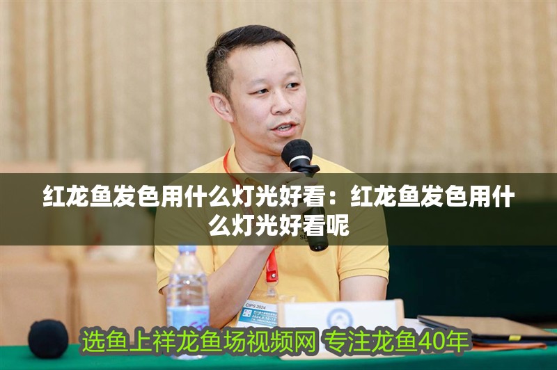 紅龍魚發色用什么燈光好看：紅龍魚發色用什么燈光好看呢
