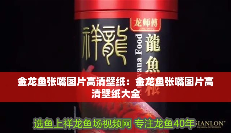 金龍魚張嘴圖片高清壁紙：金龍魚張嘴圖片高清壁紙大全
