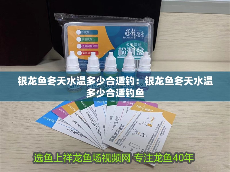銀龍魚(yú)冬天水溫多少合適釣：銀龍魚(yú)冬天水溫多少合適釣魚(yú)