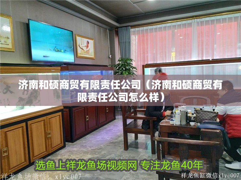 濟南和碩商貿(mào)有限責任公司（濟南和碩商貿(mào)有限責任公司怎么樣）