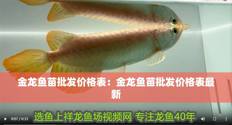 金龍魚苗批發(fā)價(jià)格表：金龍魚苗批發(fā)價(jià)格表最新