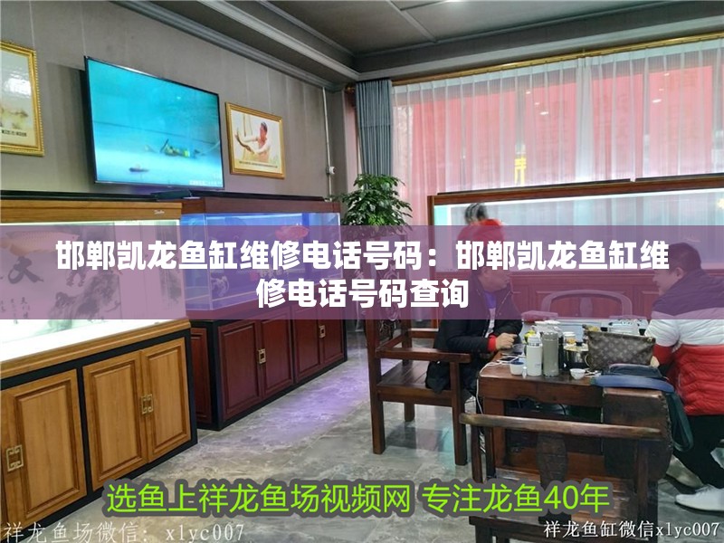 邯鄲凱龍魚缸維修電話號碼：邯鄲凱龍魚缸維修電話號碼查詢