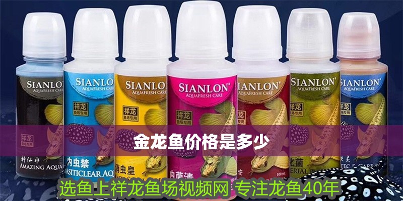 金龍魚價格是多少