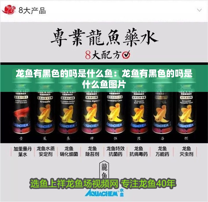 龍魚有黑色的嗎是什么魚：龍魚有黑色的嗎是什么魚圖片
