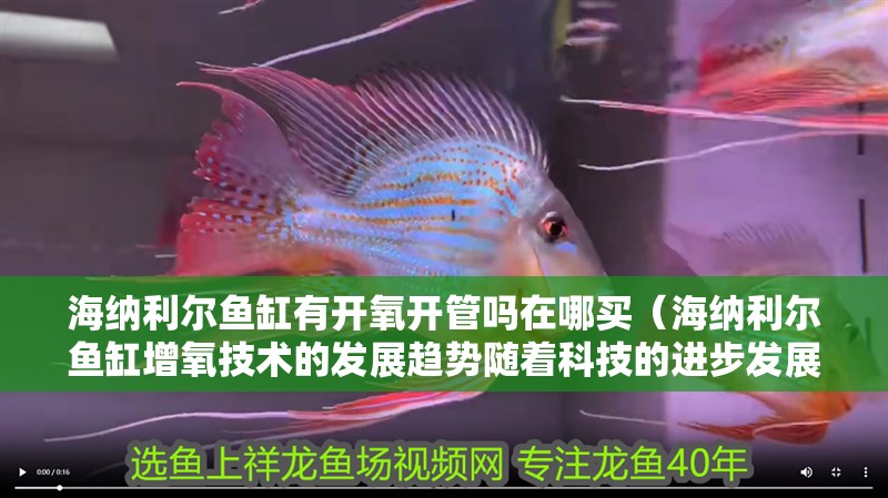 海納利爾魚缸有開氧開管嗎在哪買（海納利爾魚缸增氧技術(shù)的發(fā)展趨勢隨著科技的進步發(fā)展）