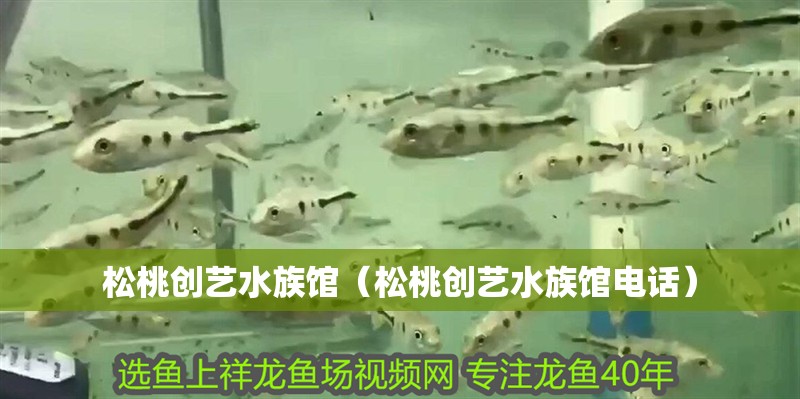 松桃創(chuàng)藝水族館（松桃創(chuàng)藝水族館電話） 松桃創(chuàng)藝水族館（松桃創(chuàng)藝水族館電話） 全國水族館企業(yè)名錄 第2張