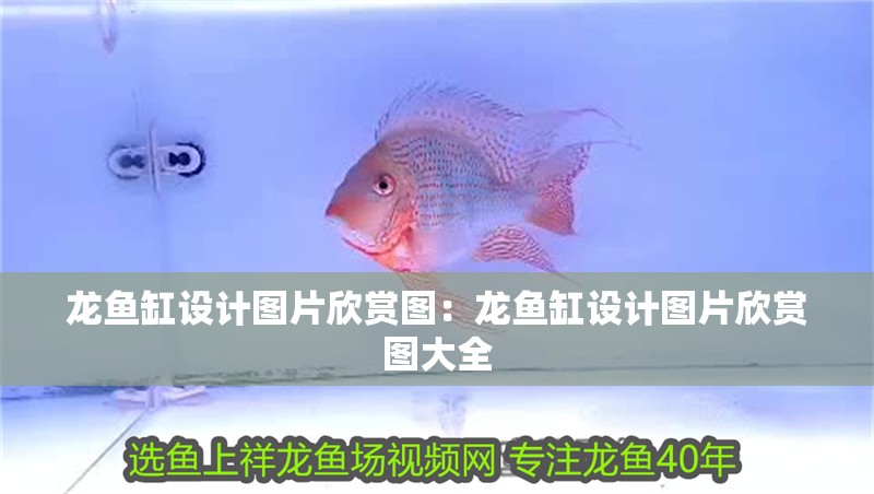 龍魚缸設(shè)計圖片欣賞圖：龍魚缸設(shè)計圖片欣賞圖大全