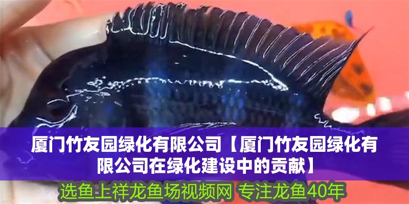 廈門竹友園綠化有限公司【廈門竹友園綠化有限公司在綠化建設中的貢獻】