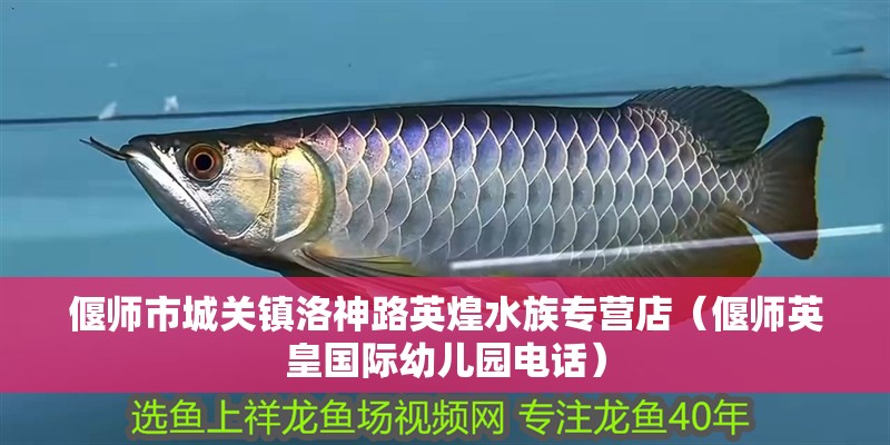 偃師市城關鎮洛神路英煌水族專營店（偃師英皇國際幼兒園電話） 偃師市城關鎮洛神路英煌水族專營店（偃師英皇國際幼兒園電話） 全國水族館企業名錄 第2張