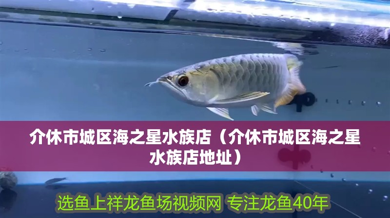 介休市城區海之星水族店（介休市城區海之星水族店地址） 介休市城區海之星水族店（介休市城區海之星水族店地址） 全國水族館企業名錄 第2張