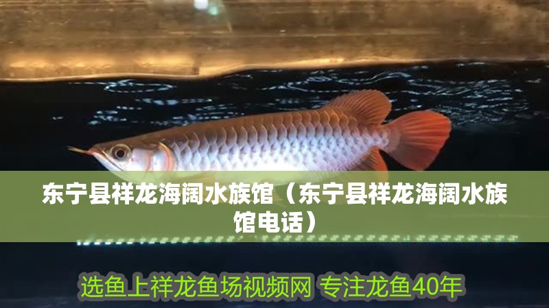 東寧縣祥龍海闊水族館（東寧縣祥龍海闊水族館電話）