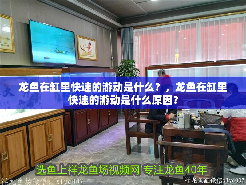 龍魚在缸里快速的游動是什么？，龍魚在缸里快速的游動是什么原因？
