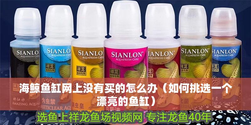 海鯨魚缸網上沒有買的怎么辦（如何挑選一個漂亮的魚缸）